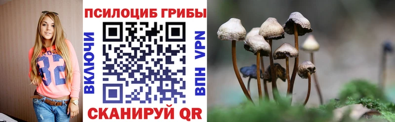Галлюциногенные грибы Cubensis Сунжа